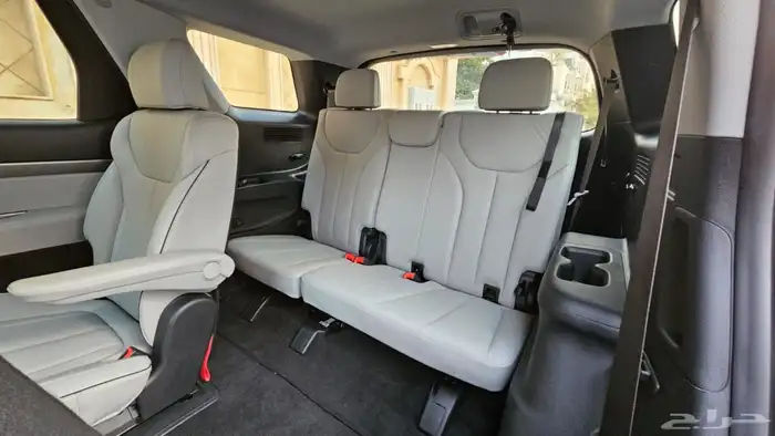 باليسيد 2024 10