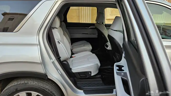 باليسيد 2024 12