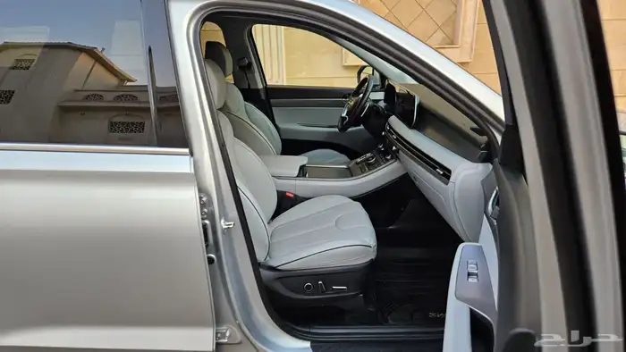 باليسيد 2024 11