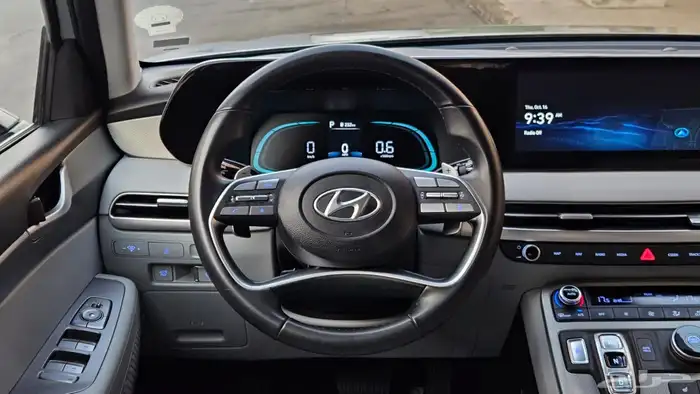 باليسيد 2024 16