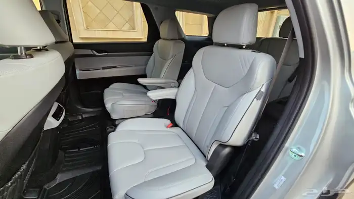 باليسيد 2024 9