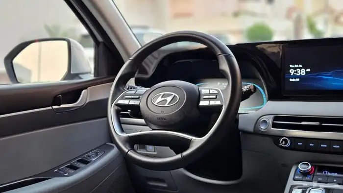 باليسيد 2024 15