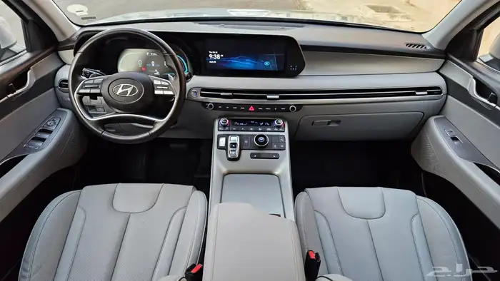 باليسيد 2024 13