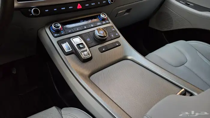 باليسيد 2024 19