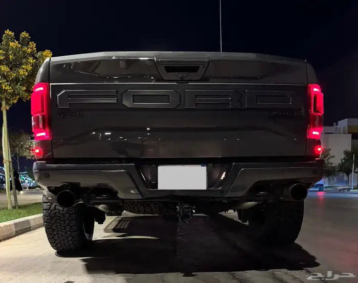 رابتر فورد F150 29