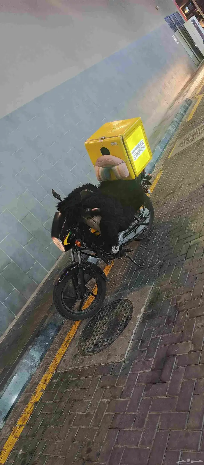 دباب للبيع او لا الايجار الموقع العقربيه الخبر موديل 2024 0