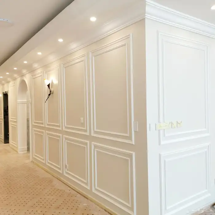 فني دهانات ديكورات حديثة 10