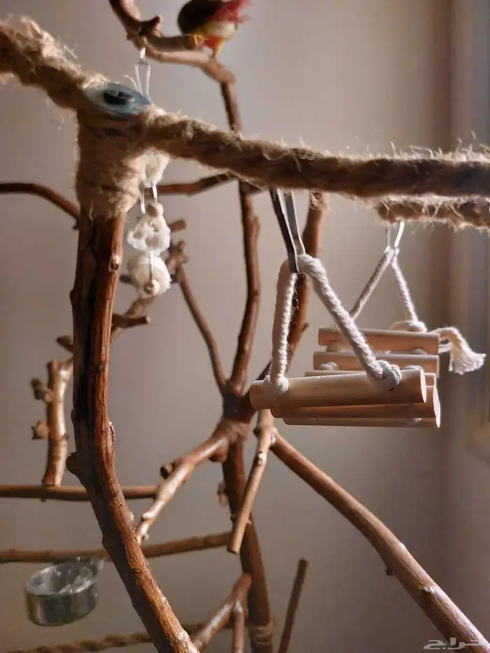 ستاند ببغاء جدييد كبيير بديل للقفص وشي رهيب ومميز 1