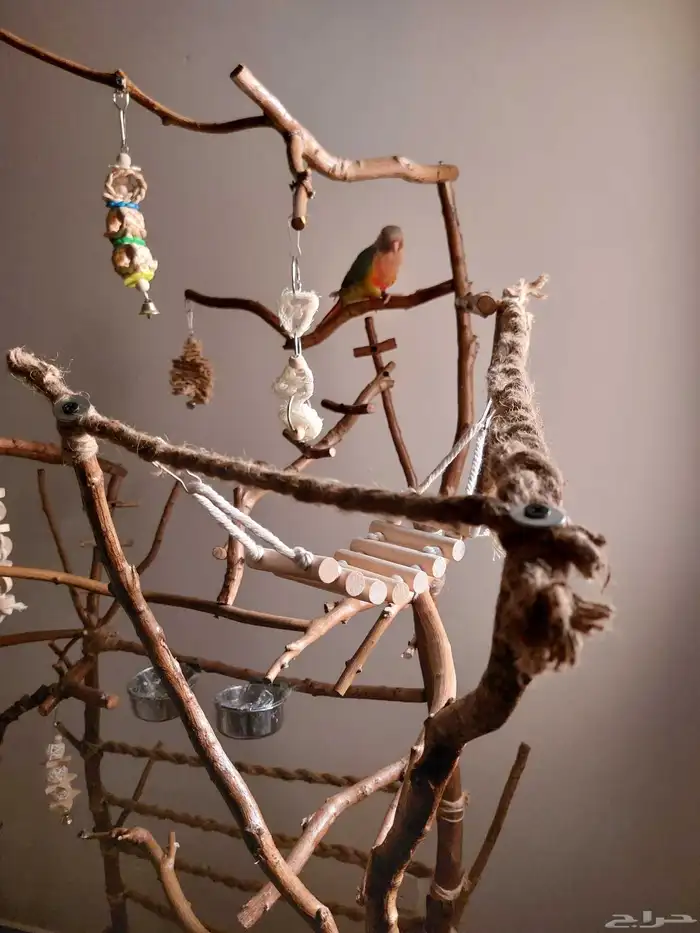 ستاند ببغاء جدييد كبيير بديل للقفص وشي رهيب ومميز 6