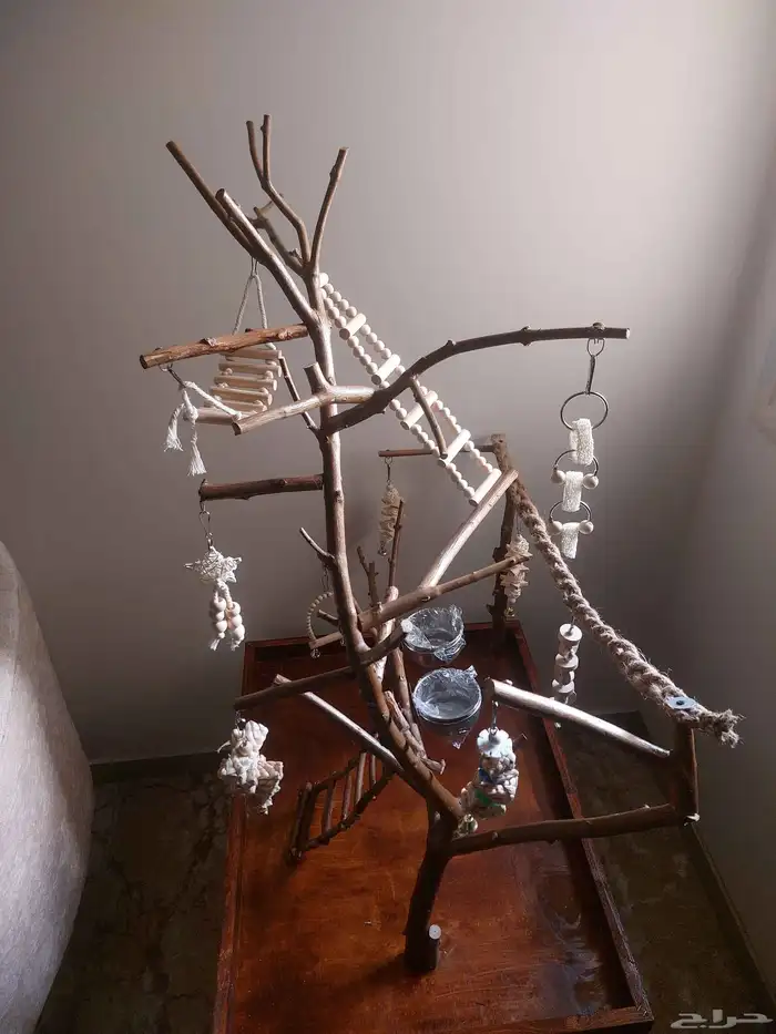 ستاند ببغاء رهيب وشكل جميل وحجم حلو 9