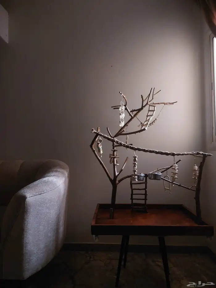 ستاند ببغاء رهيب وشكل جميل وحجم حلو 2