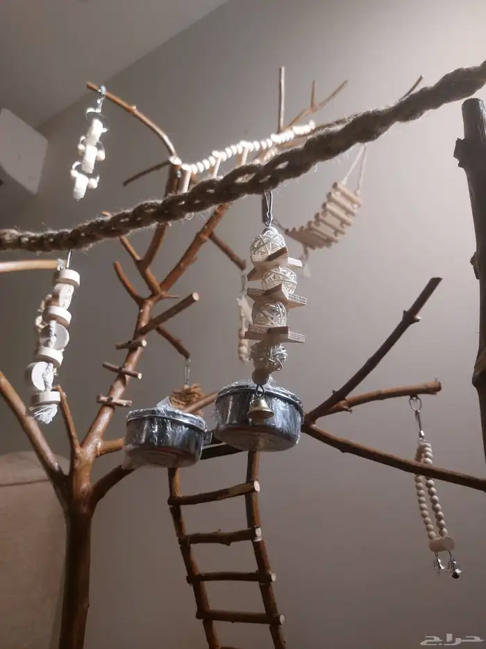 ستاند ببغاء رهيب وشكل جميل وحجم حلو 6