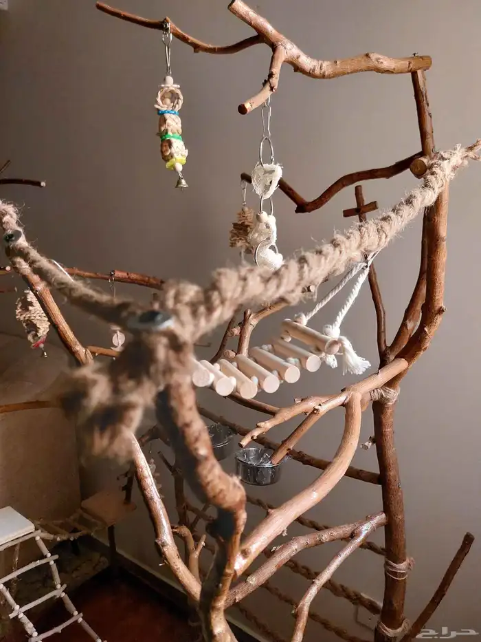 ستاند ببغاء جدييد كبيير بديل للقفص وشي رهيب ومميز 4