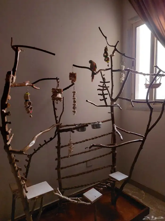 ستاند ببغاء جدييد كبيير بديل للقفص وشي رهيب ومميز 11