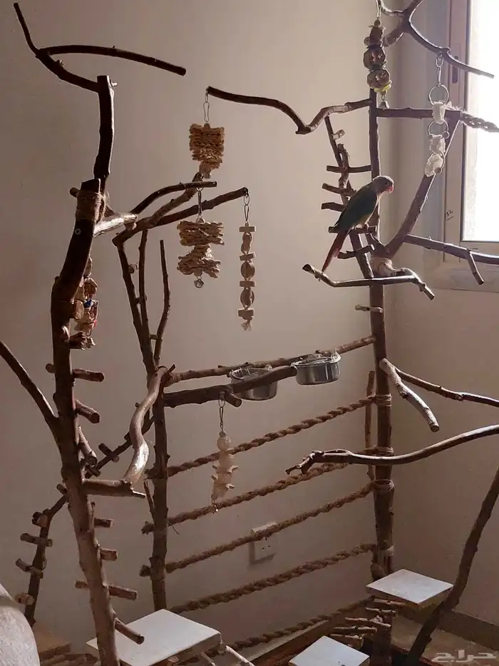 ستاند ببغاء جدييد كبيير بديل للقفص وشي رهيب ومميز 12