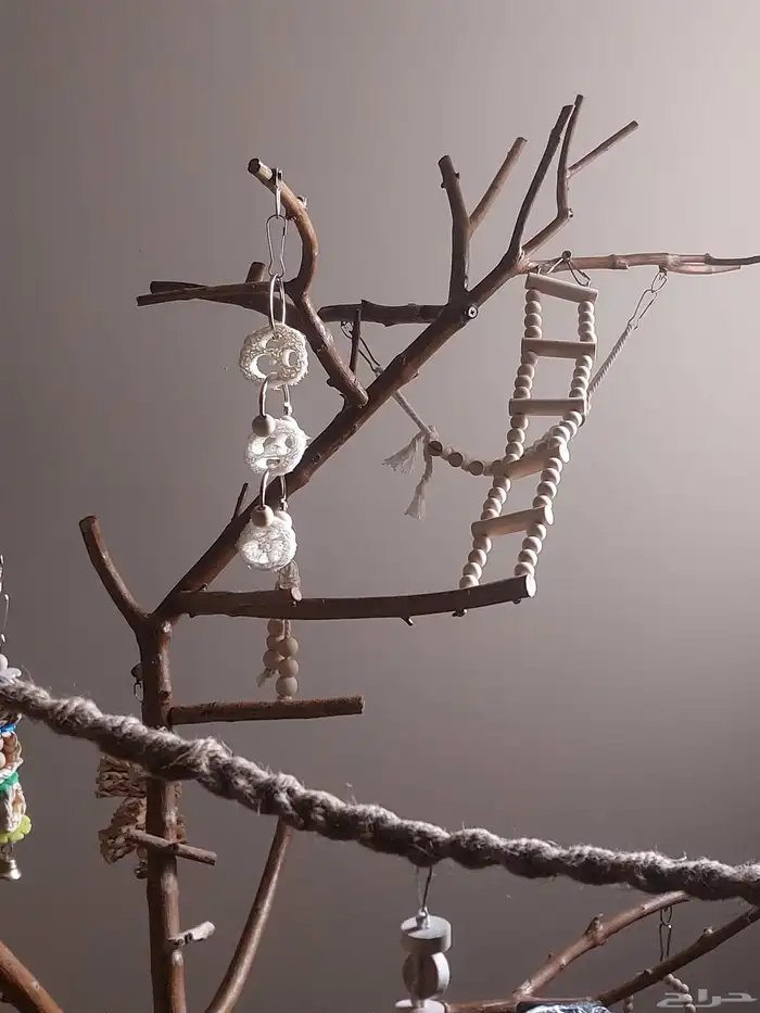 ستاند ببغاء رهيب وشكل جميل وحجم حلو 7