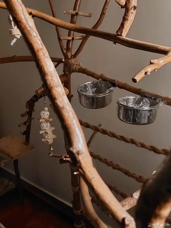 ستاند ببغاء جدييد كبيير بديل للقفص وشي رهيب ومميز 2