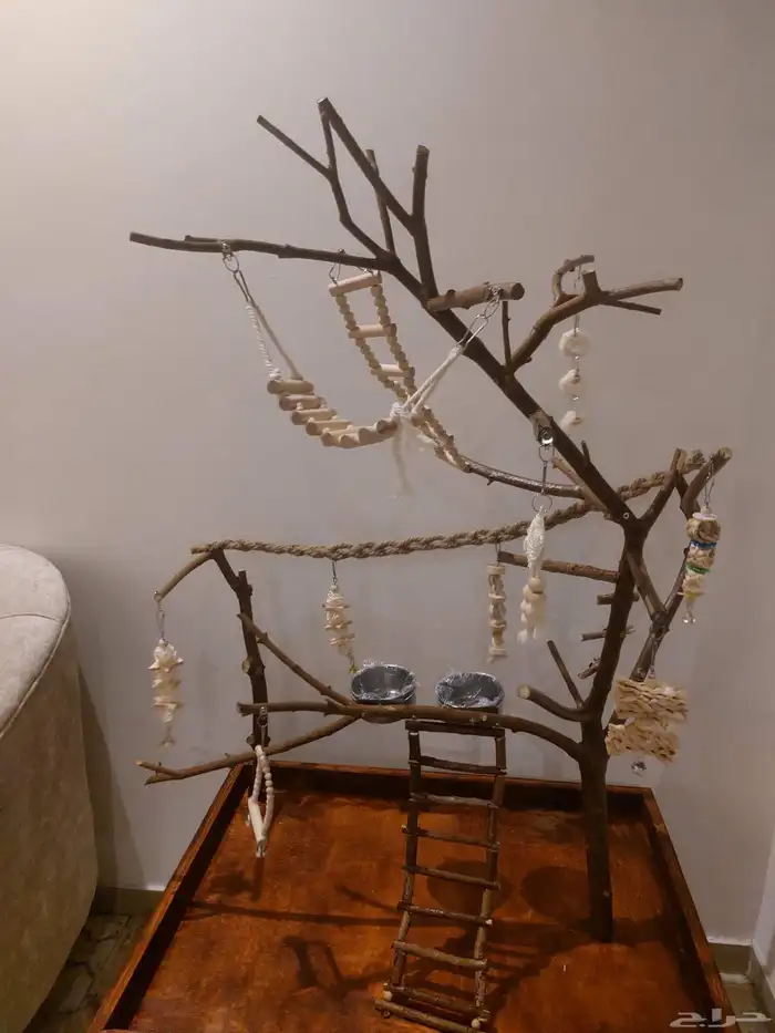 ستاند ببغاء رهيب وشكل جميل وحجم حلو 0