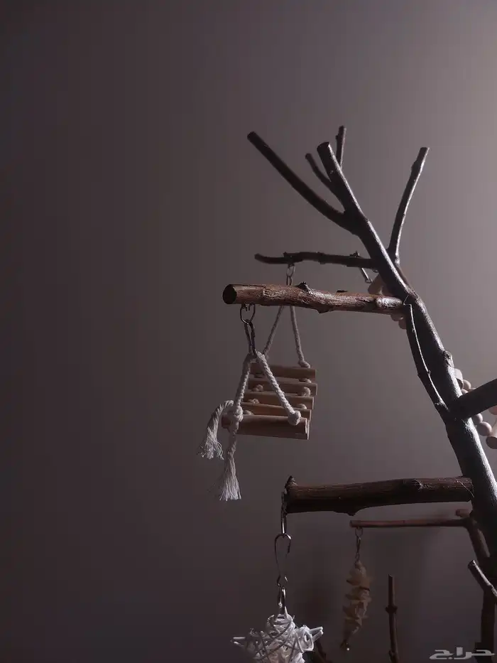 ستاند ببغاء رهيب وشكل جميل وحجم حلو 8