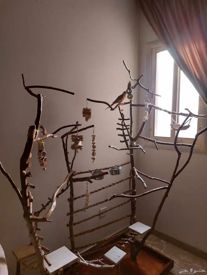 ستاند ببغاء جدييد كبيير بديل للقفص وشي رهيب ومميز 13