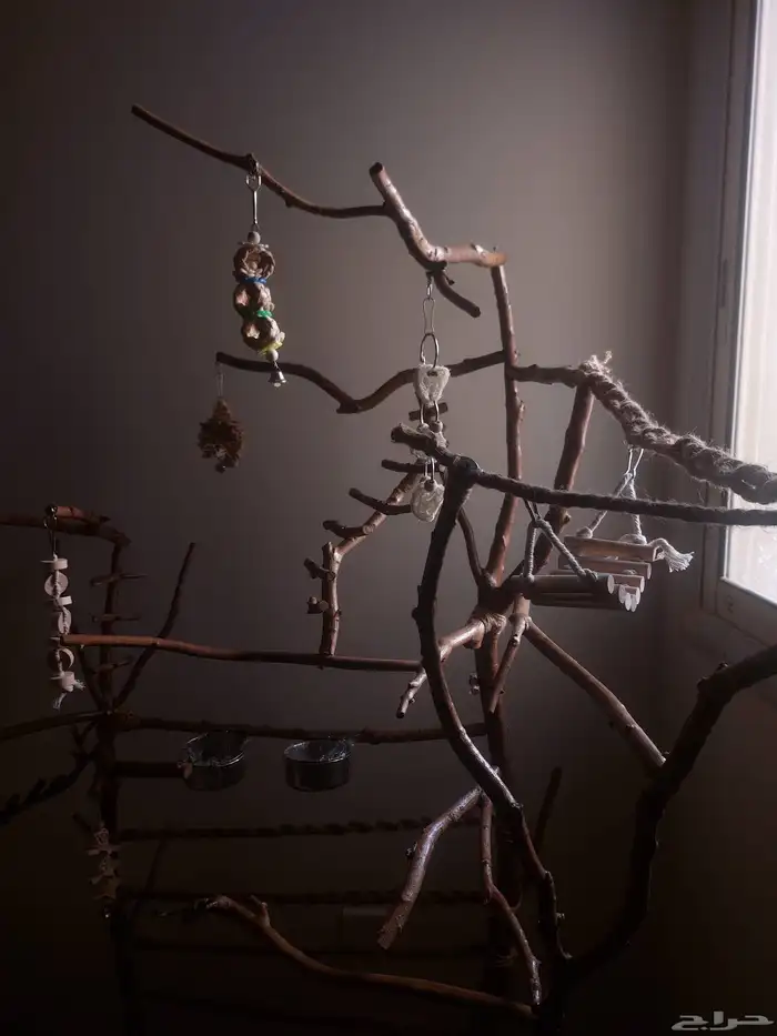 ستاند ببغاء جدييد كبيير بديل للقفص وشي رهيب ومميز 16