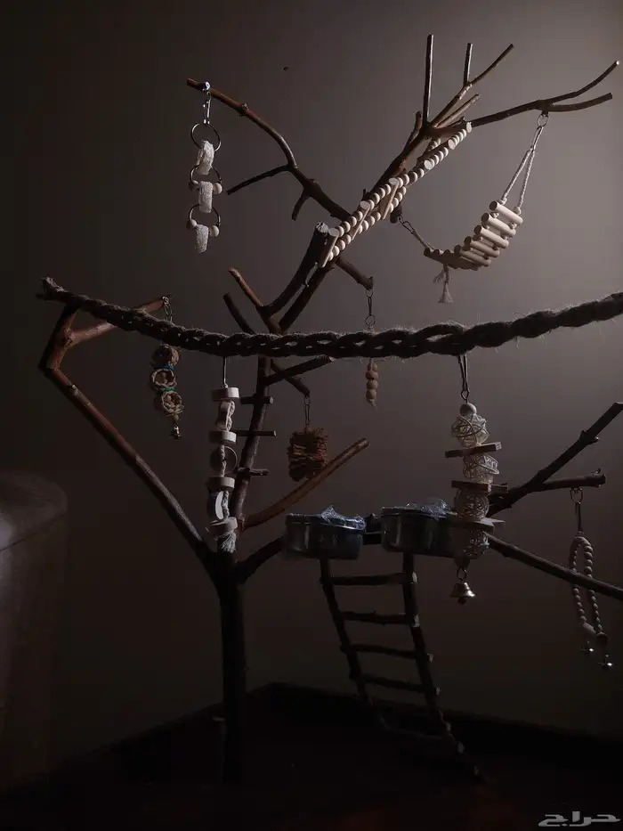 ستاند ببغاء رهيب وشكل جميل وحجم حلو 1