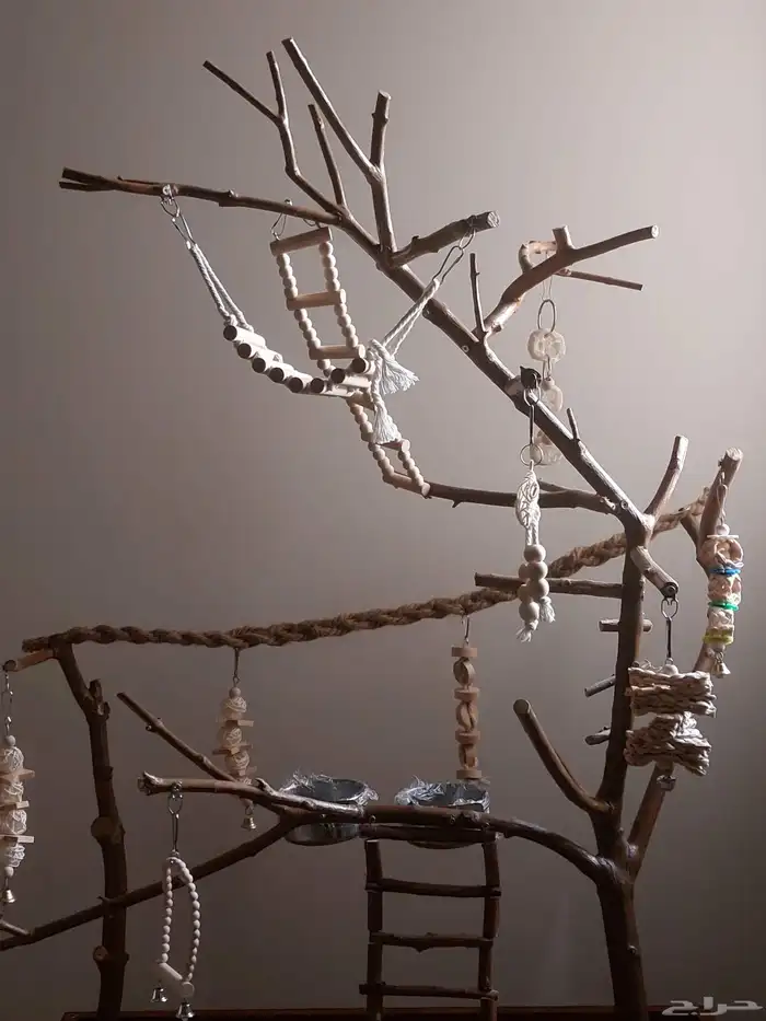 ستاند ببغاء رهيب وشكل جميل وحجم حلو 4