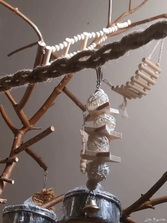 ستاند ببغاء رهيب وشكل جميل وحجم حلو 5