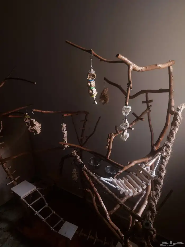 ستاند ببغاء جدييد كبيير بديل للقفص وشي رهيب ومميز 15