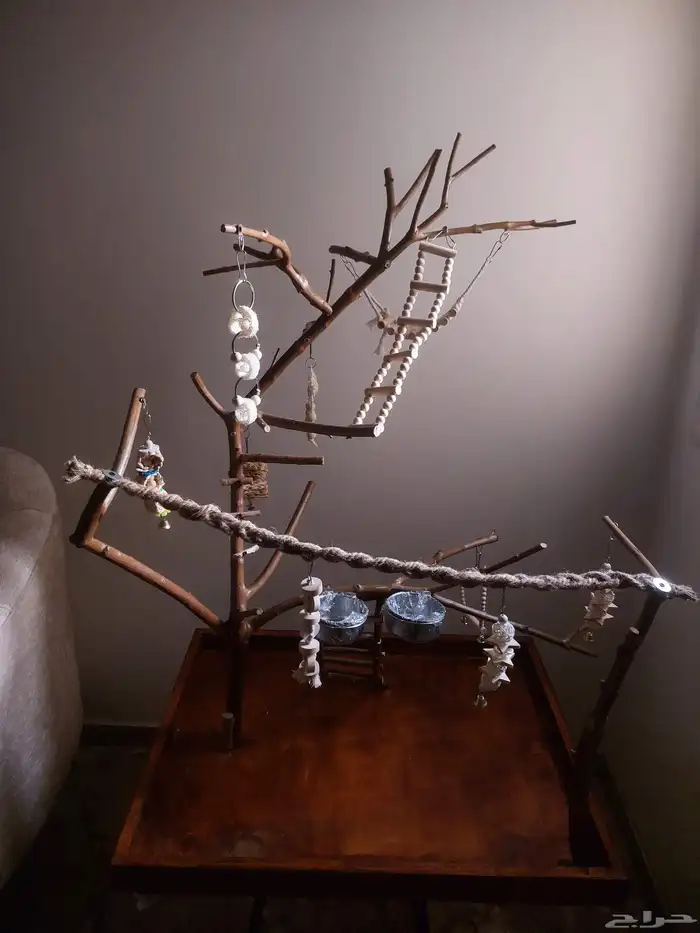 ستاند ببغاء رهيب وشكل جميل وحجم حلو 3