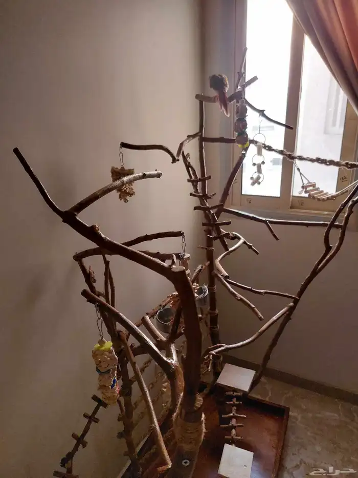 ستاند ببغاء جدييد كبيير بديل للقفص وشي رهيب ومميز 7