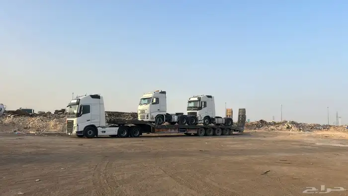 لوبد متواجد في الرياض 0