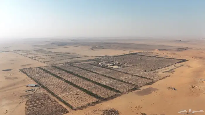 تصوير جوي درون عقارات بكل انواعها فلل عماير اراضي مزارع 4