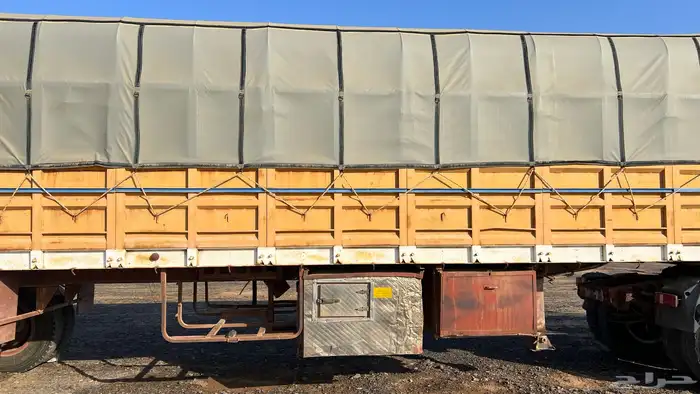 تيدر جوانب الماني اباالامع قاعده 16 2