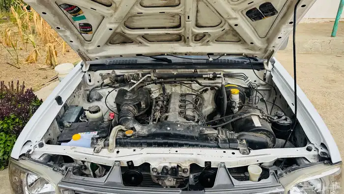 ددسن 2011 غمارتين تايلندي 11