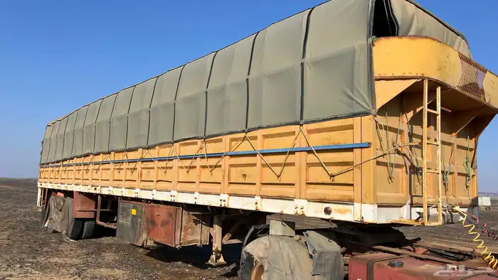 تيدر جوانب الماني اباالامع قاعده 16 3