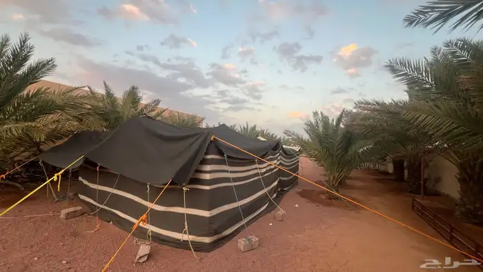 قطبه للبيع بيت شعر 3