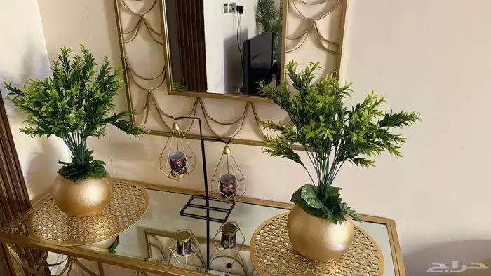 مدخل مع فازات ومرايه 2