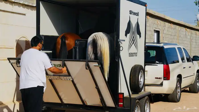 عربة نقل خيل راسين جديده متواجده بالطائف 3