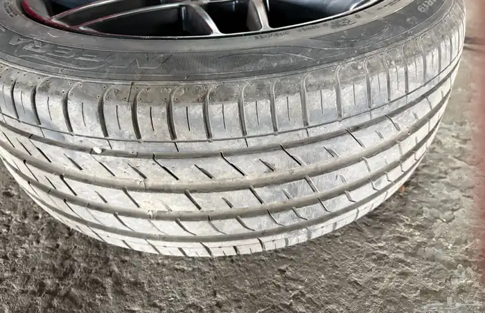 جنوط موستنج شلبي للبيع 3