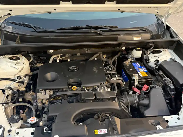 راف فور نص فل 9