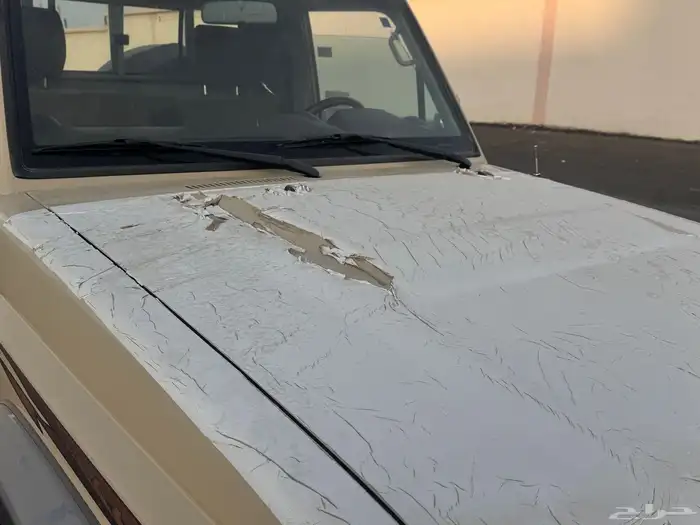 شاص 2023 رفرف 8