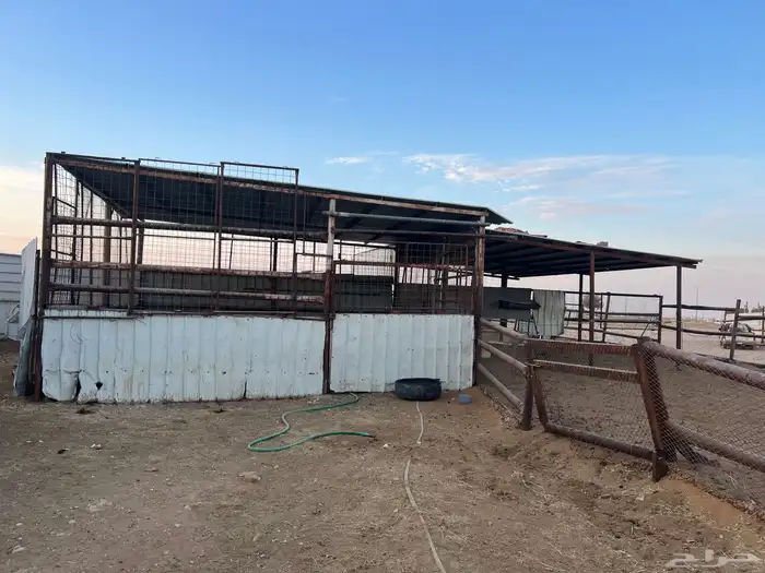 محل للبيع نضيف 2