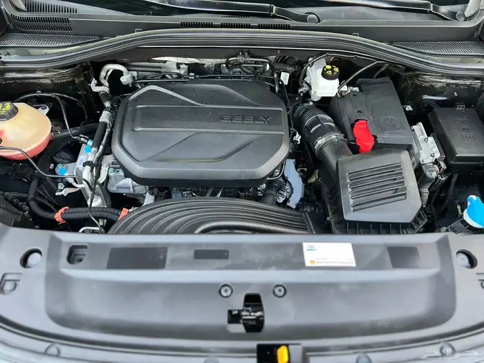 جيلي اوكافانجو 2023 16