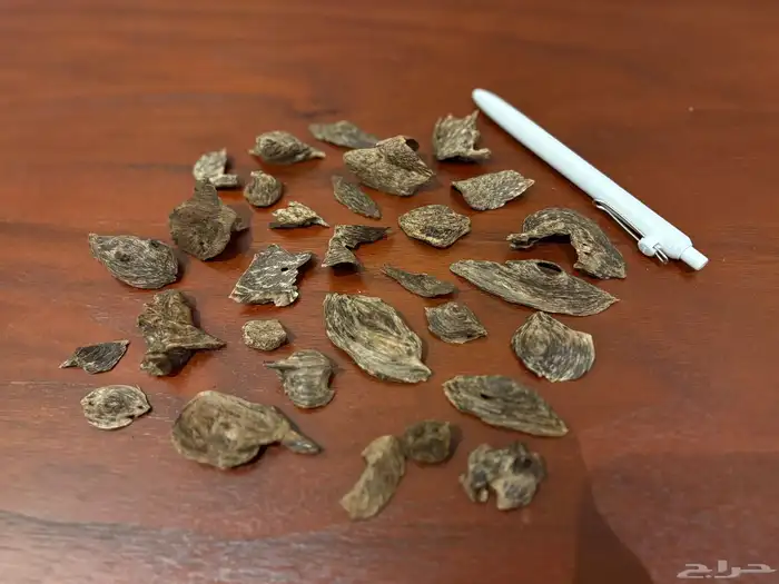 عود كلمنتان مالينو دبل سوبر مميز 1