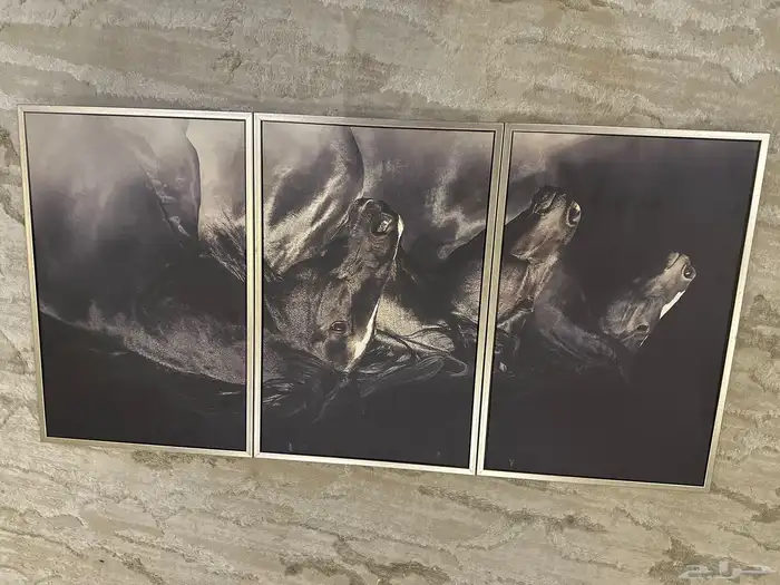 لوحة جديدة للبيع كبيرة 0