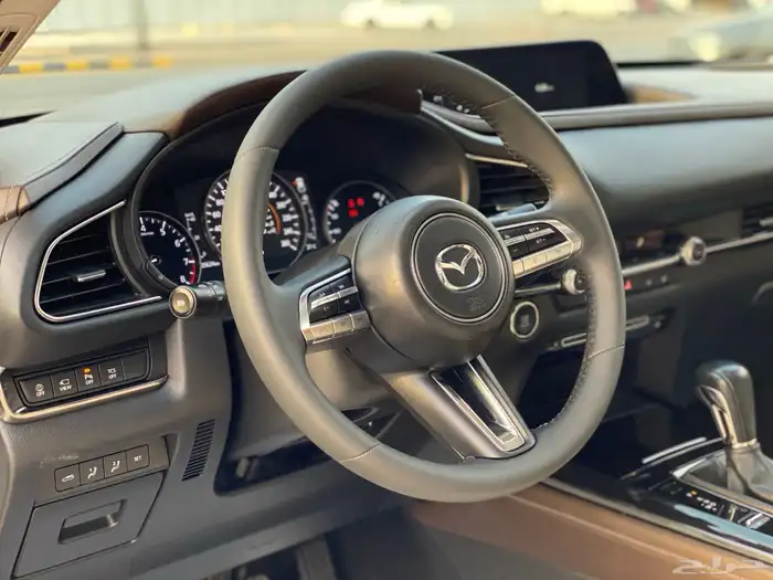 مازدا CX_30 19