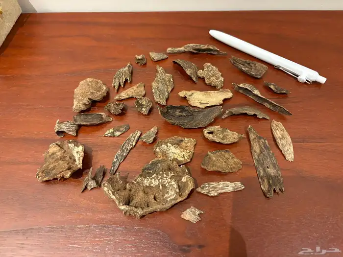 عود كلمنتان مالينو دبل سوبر مميز 0