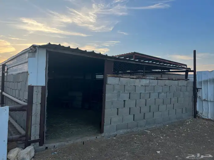 محل للبيع نضيف 4