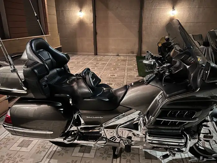 قولد وينق رحال ليفل 1 - 2009 14